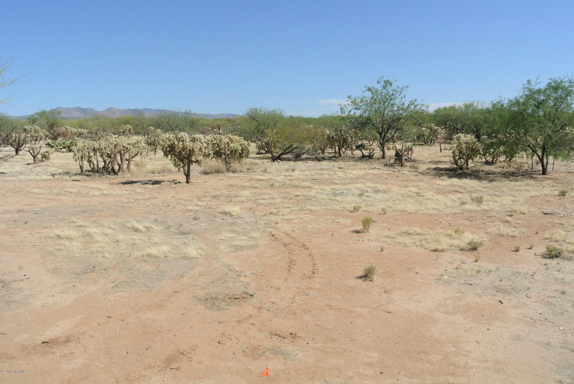15371 West Many Horses Road Tucson, AZ 85736 - Photo 34 of 41