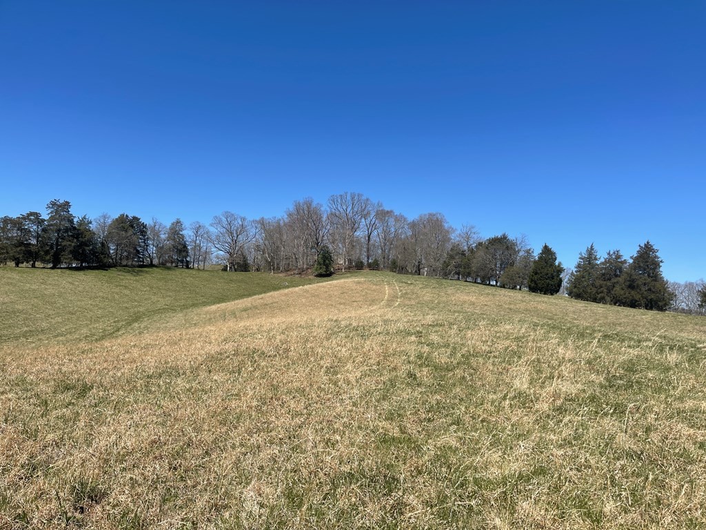 1522 Jayell Road Sevierville, TN 37862 - Photo 14 of 20