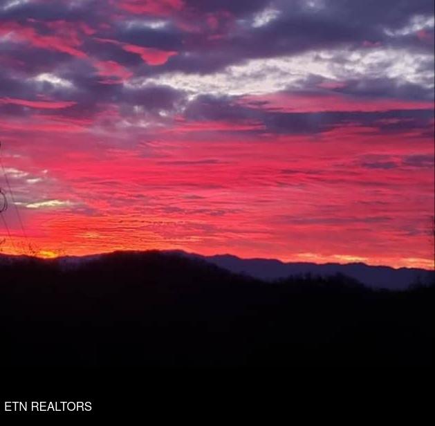 945 Cedar Springs Valley Road Sevierville, TN 37876 - Photo 4 of 44 20210730184249827273000000-o