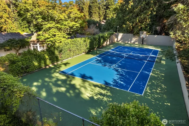 a view of a back yard of the house