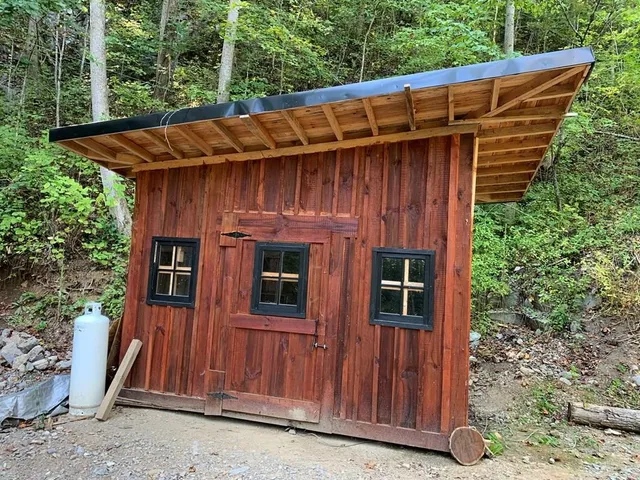 a view of backyard and tree