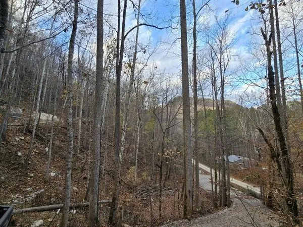 $109,900 | 1029 East Obey Lane, Wilder, TN 38589
