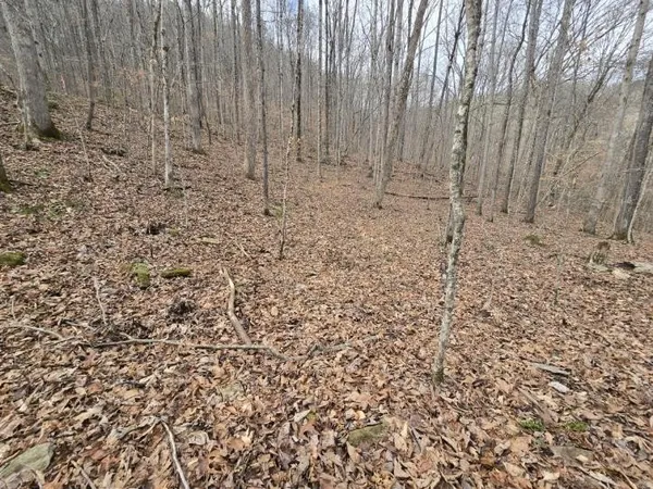 $109,900 | 1029 East Obey Lane, Wilder, TN 38589
