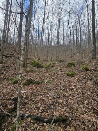 $109,900 | 1029 East Obey Lane, Wilder, TN 38589