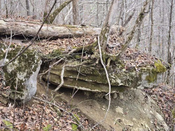 $109,900 | 1029 East Obey Lane, Wilder, TN 38589