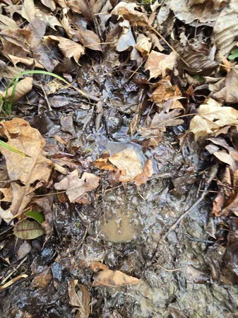 $109,900 | 1029 East Obey Lane, Wilder, TN 38589