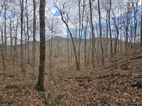 $109,900 | 1029 East Obey Lane, Wilder, TN 38589