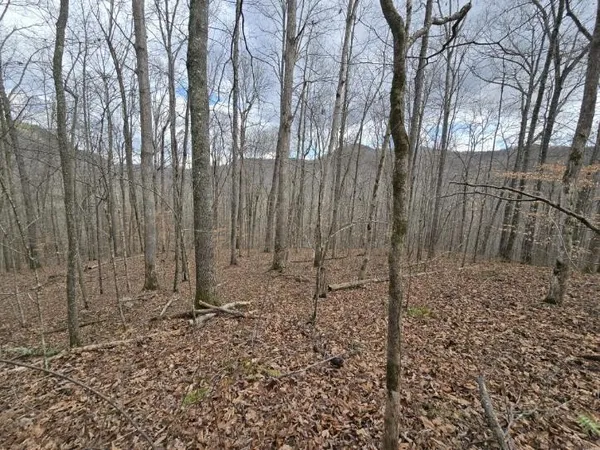 $109,900 | 1029 East Obey Lane, Wilder, TN 38589