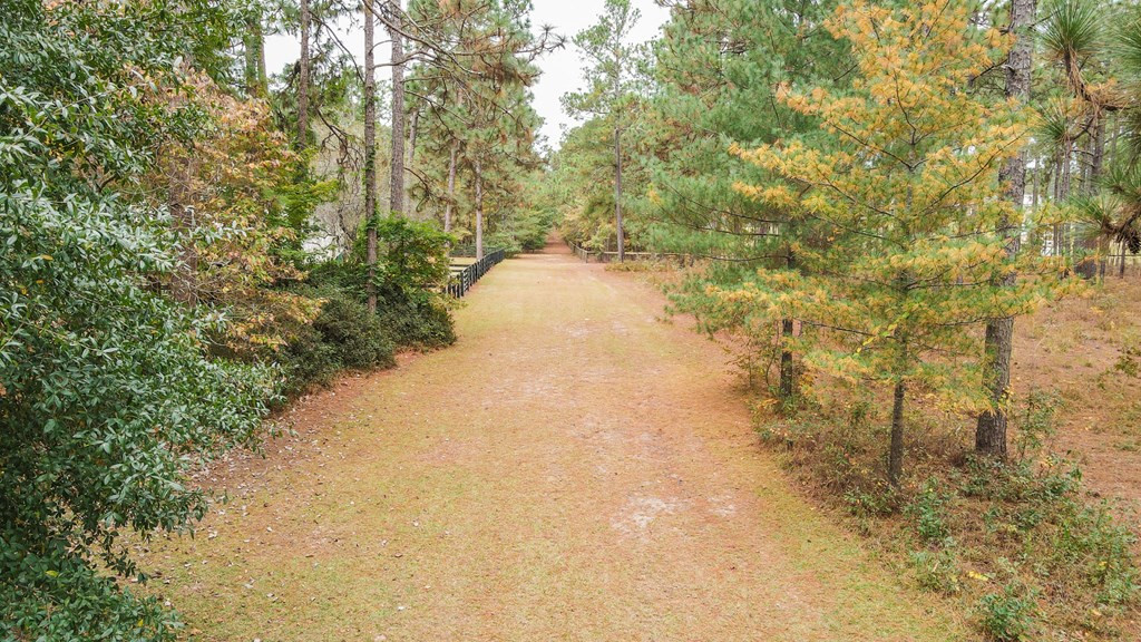 132 Hasty Road Aiken, SC 29803 - Photo 41 of 47 Gallery Image 41