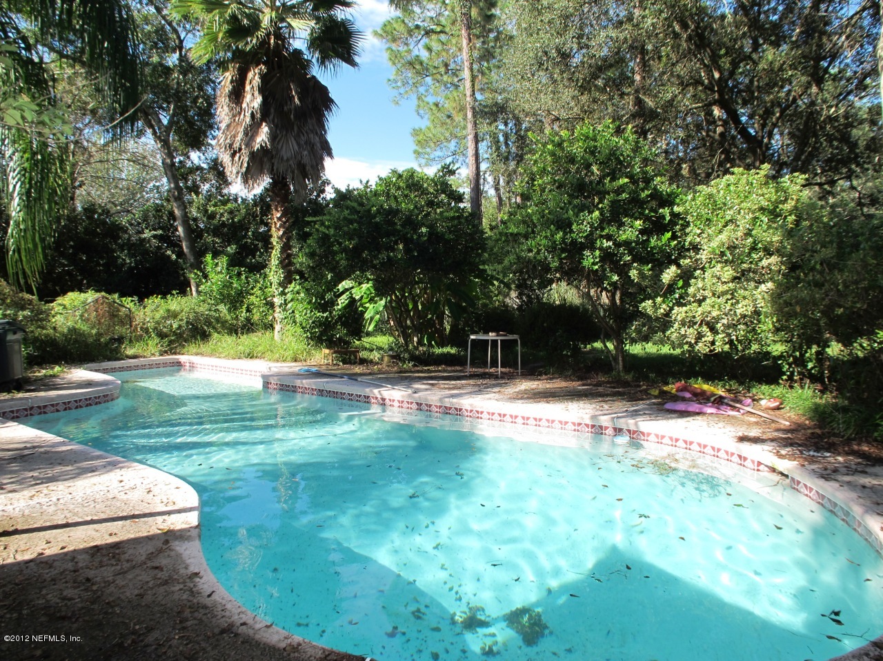 1641 Lemonwood Road St. Johns, FL 32259 - Photo 18 of 19 Pool