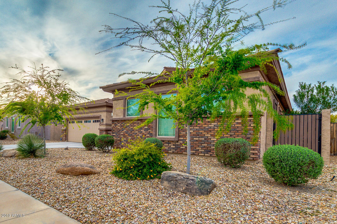 15658 West Berkeley Road Goodyear, AZ 85395 - Photo 4 of 39 04-Berkeley