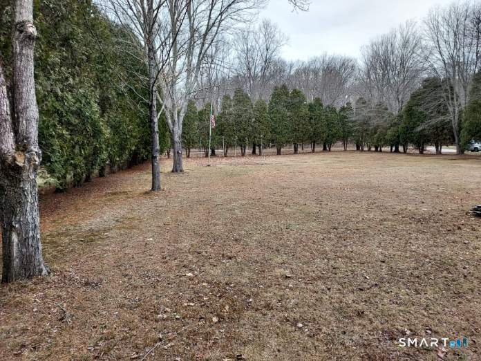 38 Old Middletown Avenue East Hampton, CT 06424 - Photo 3 of 13 a view of outdoor space with trees
