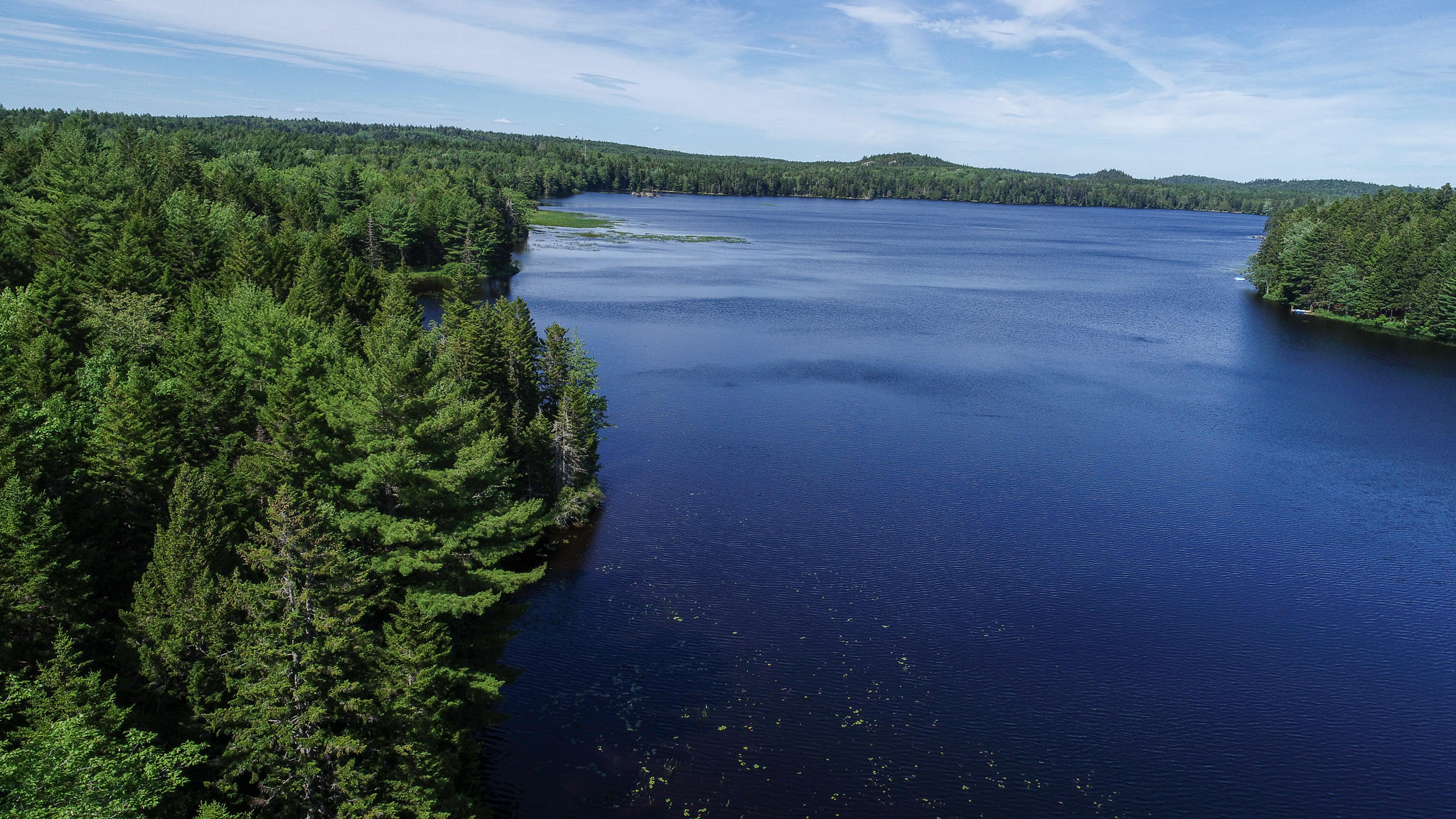 Lot 28 Halls Mills Road Whiting, ME 04691 - Photo 28 of 29 DJI_0001