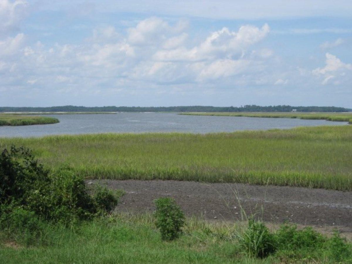 2 Wharf Ferry Road Edisto Island, SC 29438 - Photo 1 of 27 2 Wharf Ferry Road 005