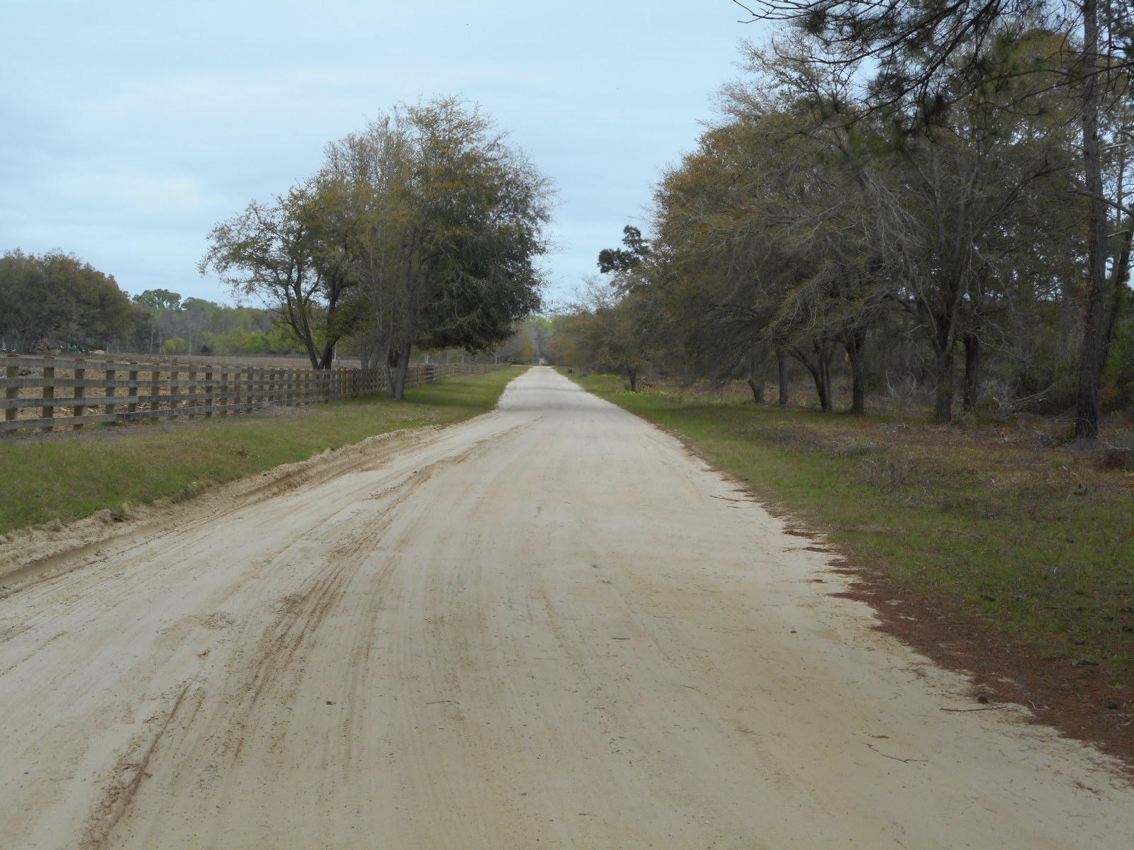 2 Wharf Ferry Road Edisto Island, SC 29438 - Photo 12 of 27 2 Wharf Ferry (12)