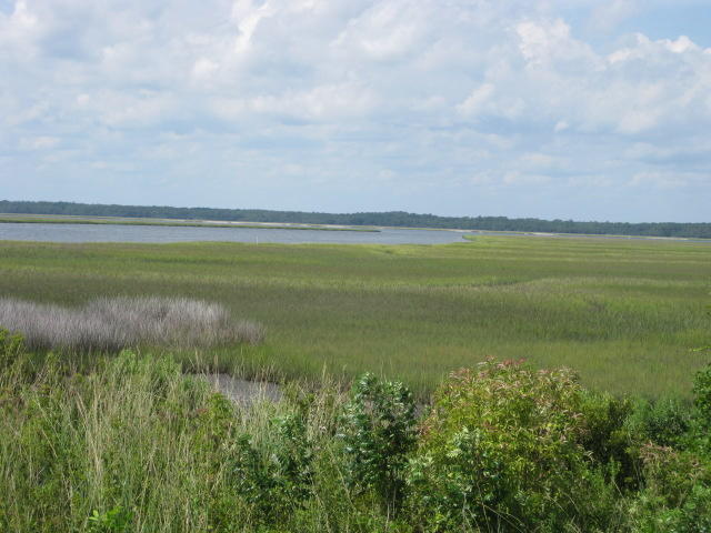 2 Wharf Ferry Road Edisto Island, SC 29438 - Photo 15 of 27 2 Wharf Ferry Road 006