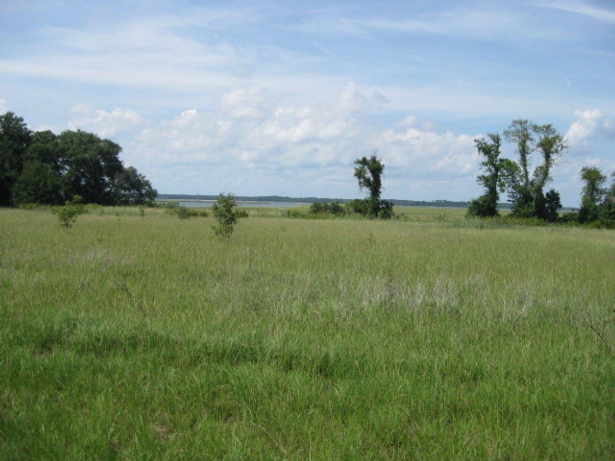 2 Wharf Ferry Road Edisto Island, SC 29438 - Photo 17 of 27 2 Wharf Ferry Road 008