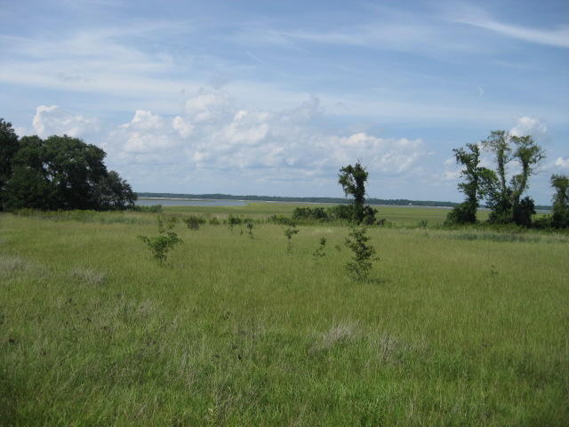 2 Wharf Ferry Road Edisto Island, SC 29438 - Photo 19 of 27 2 Wharf Ferry Road 010