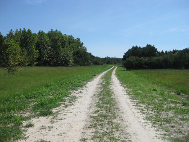 2 Wharf Ferry Road Edisto Island, SC 29438 - Photo 20 of 27 2 Wharf Ferry Road 011
