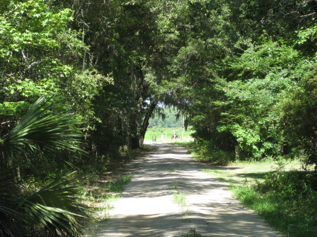 2 Wharf Ferry Road Edisto Island, SC 29438 - Photo 22 of 27 2 Wharf Ferry Road 013