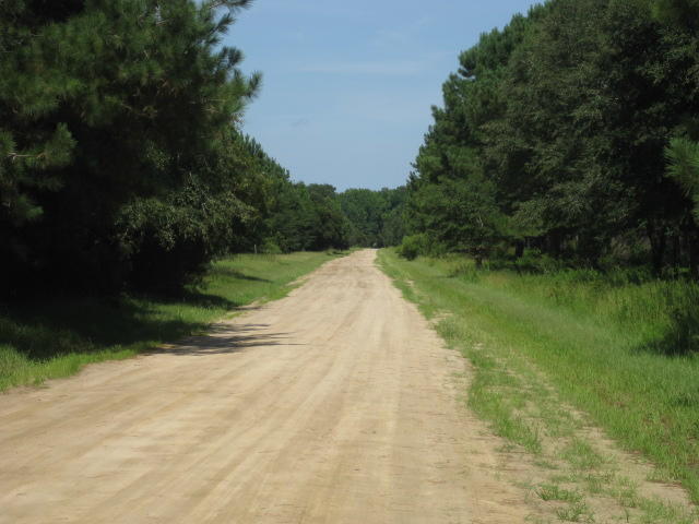2 Wharf Ferry Road Edisto Island, SC 29438 - Photo 23 of 27 2 Wharf Ferry Road 014