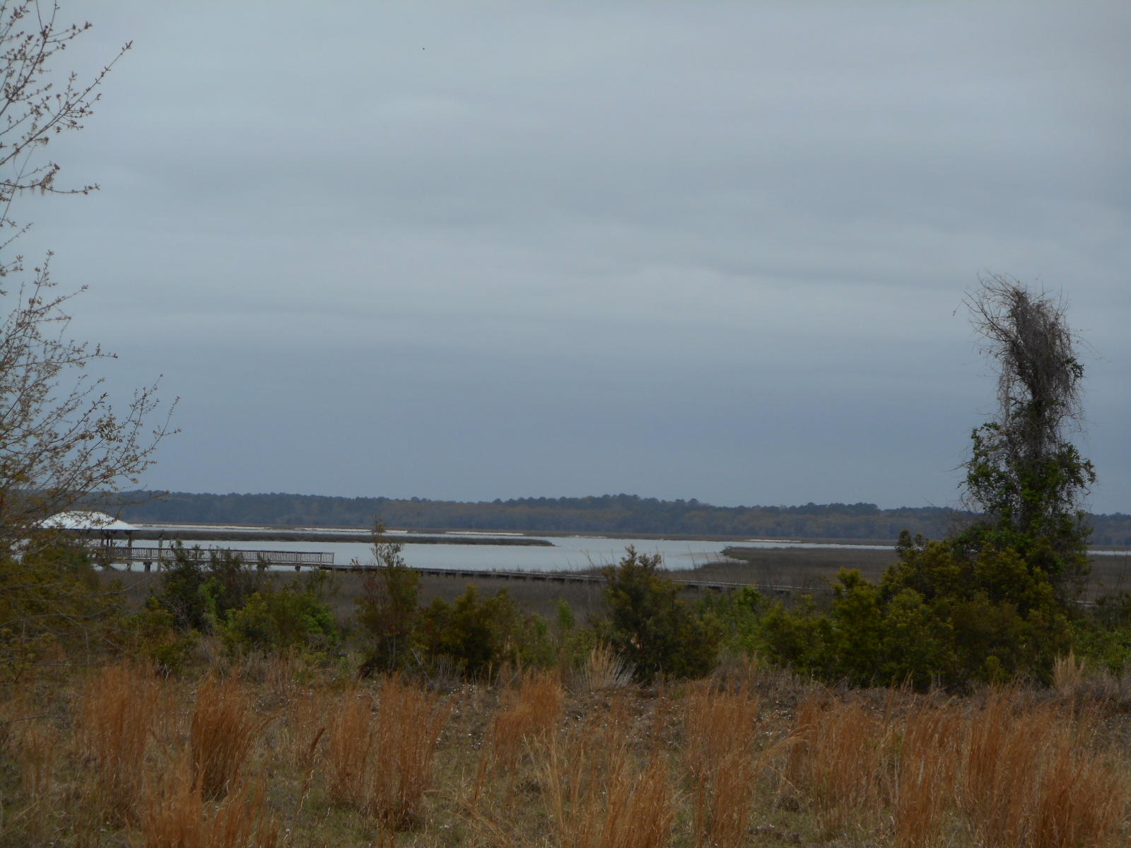 2 Wharf Ferry Road Edisto Island, SC 29438 - Photo 4 of 27 2 Wharf Ferry (3)