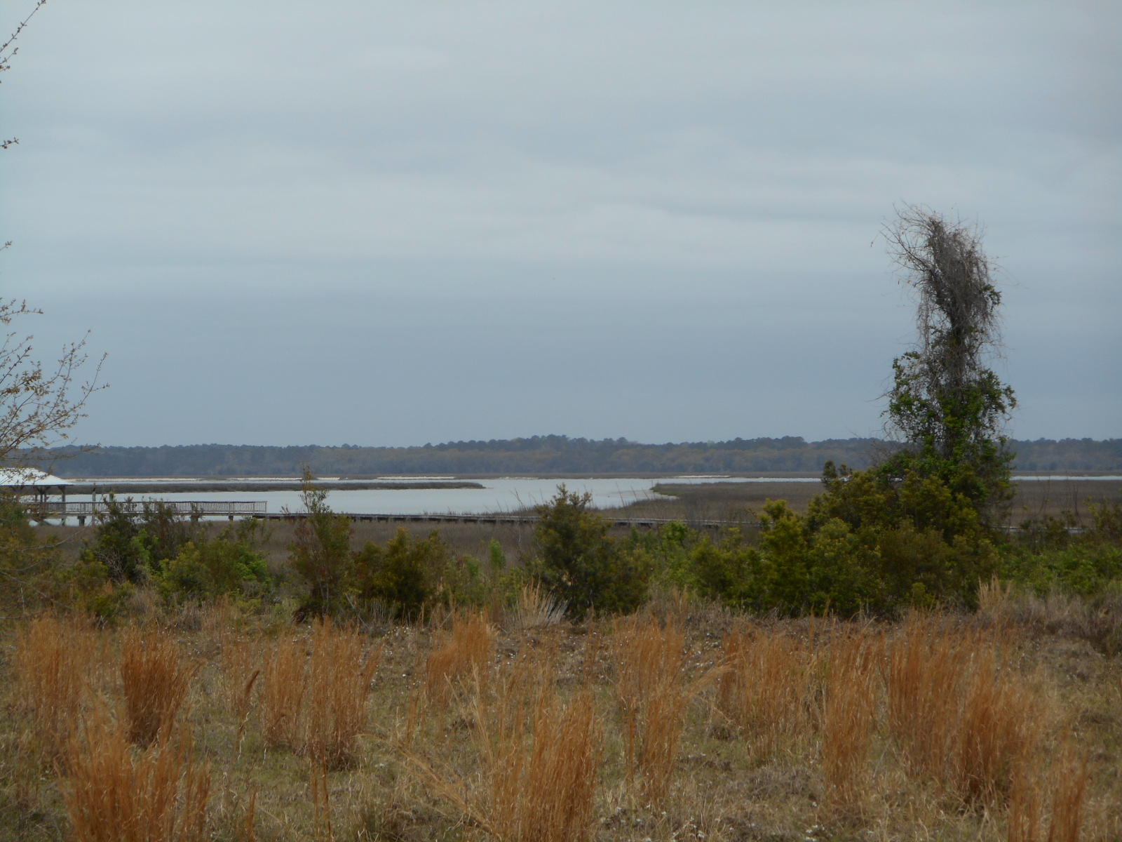 2 Wharf Ferry Road Edisto Island, SC 29438 - Photo 6 of 27 2 Wharf Ferry (1)