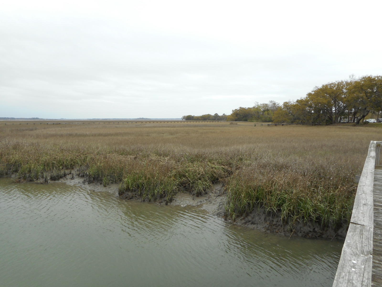 2 Wharf Ferry Road Edisto Island, SC 29438 - Photo 9 of 27 2 Wharf Ferry (8)