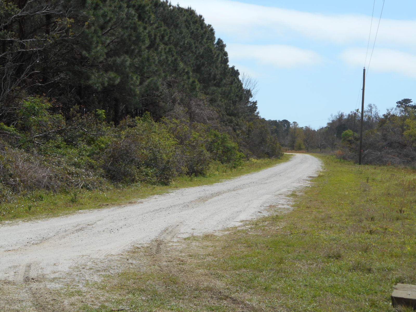 2 Wharf Ferry Road Edisto Island, SC 29438 - Photo 10 of 27 2 Wharf Ferry (9)