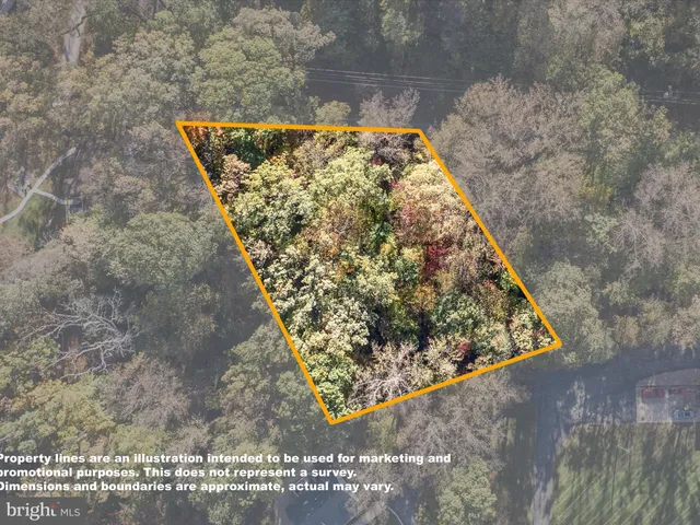 a view of a dry yard