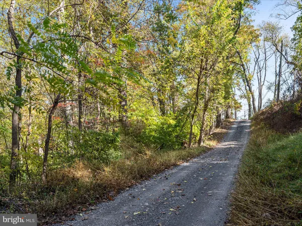 a view of a pathway both side of yard