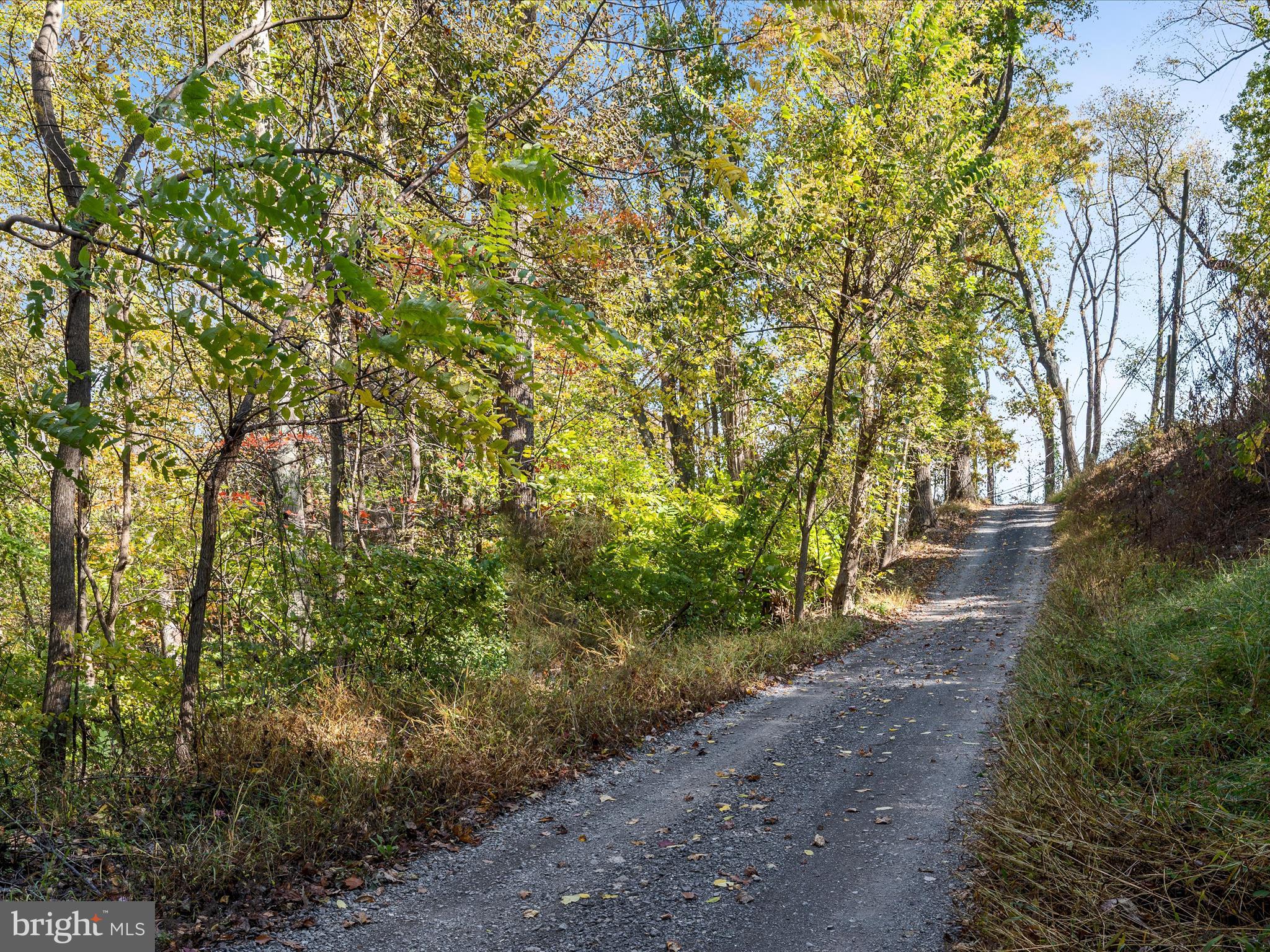2-3 Wolfe Hill Road Harpers Ferry, WV 25425 - Photo 4 of 12 a view of a yard with plants and trees