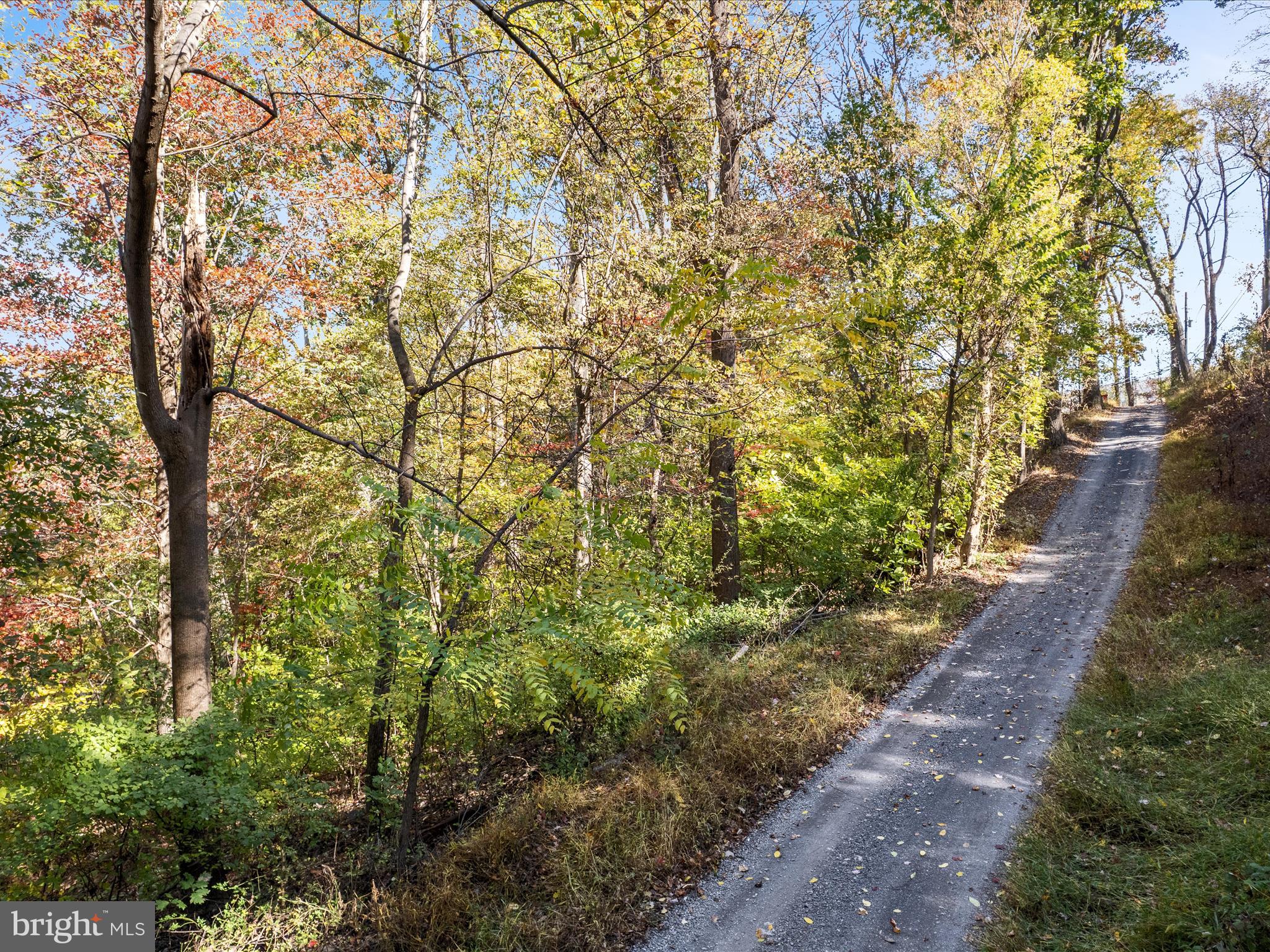 2-3 Wolfe Hill Road Harpers Ferry, WV 25425 - Photo 5 of 12 a view of a pathway both side of yard