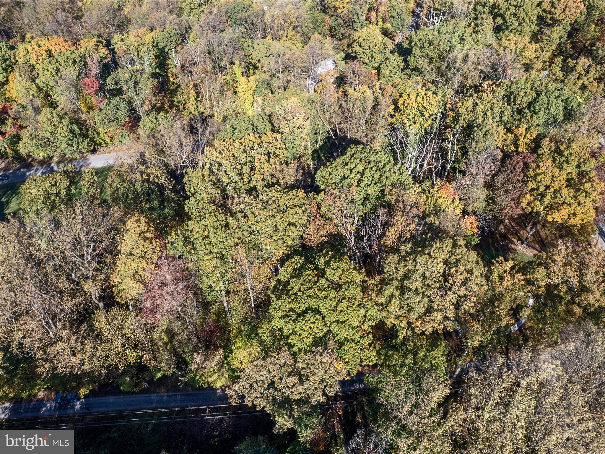 2-3 Wolfe Hill Road Harpers Ferry, WV 25425 - Photo 7 of 12 a view of a yard