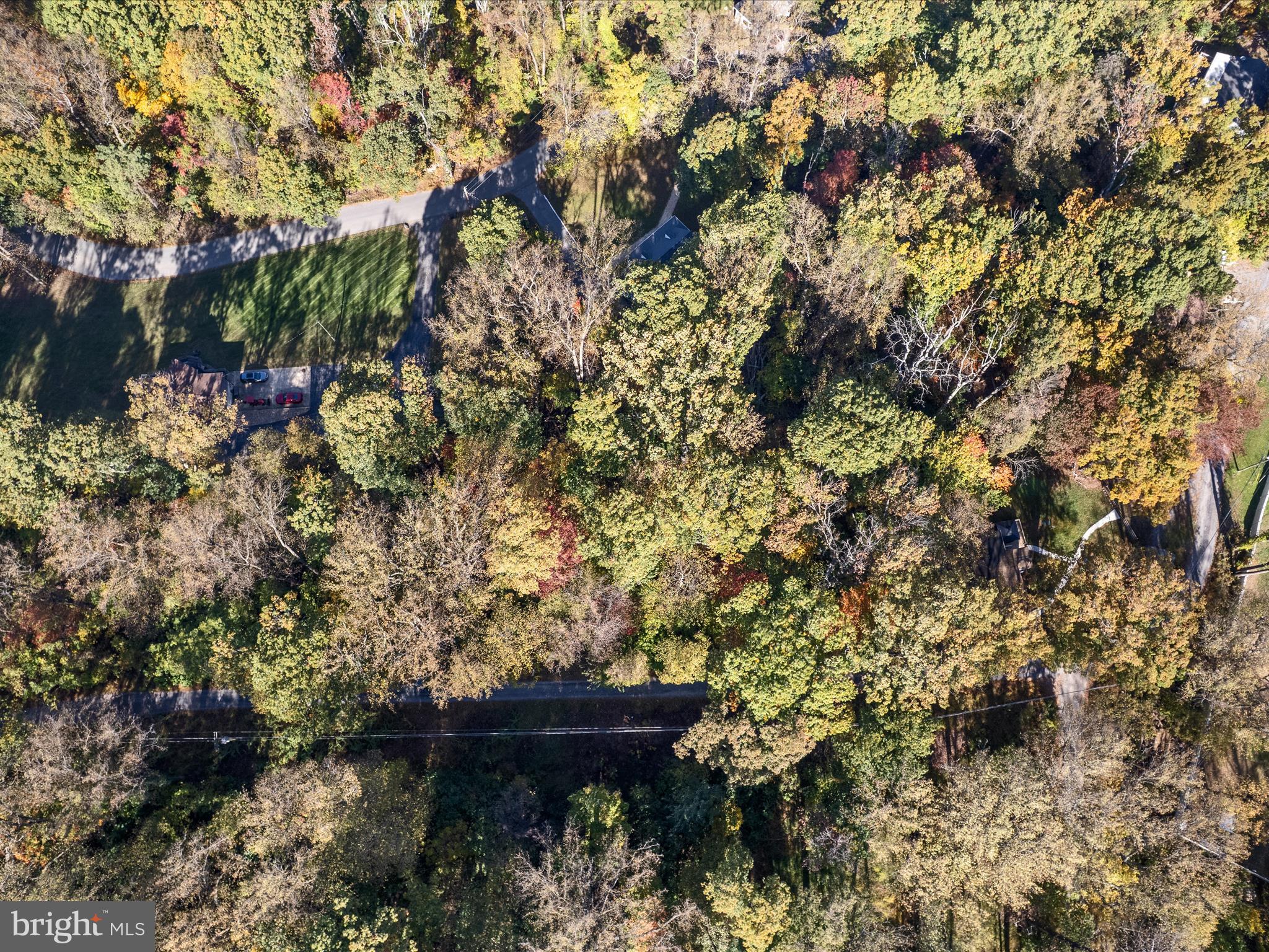 2-3 Wolfe Hill Road Harpers Ferry, WV 25425 - Photo 8 of 12 a view of tree