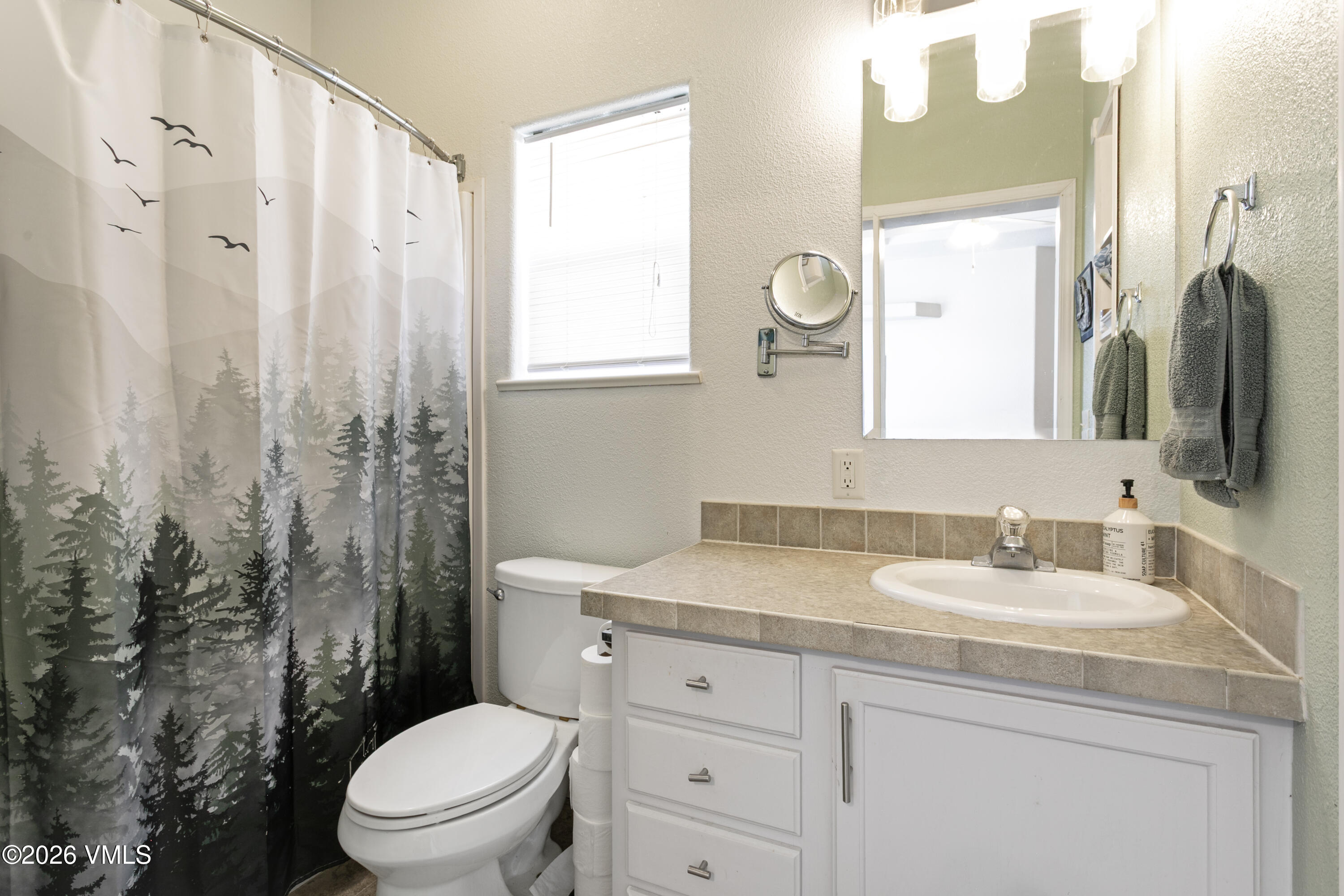 161 Haymaker Loop Gypsum, CO 81637 - Photo 17 of 40 a bathroom with a granite countertop sink a toilet and a mirror