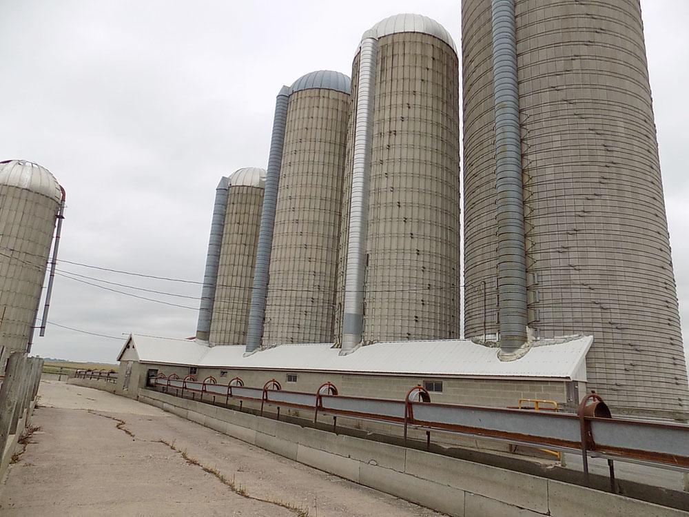 39243 561st Avenue New Ulm, MN 56073 - Photo 11 of 40