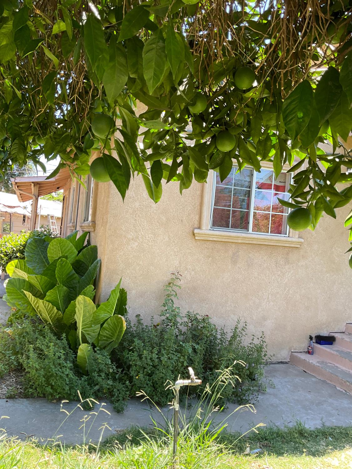 303 Plainsburg Road Planada, CA 95365 - Photo 34 of 74 Gallery Image 34