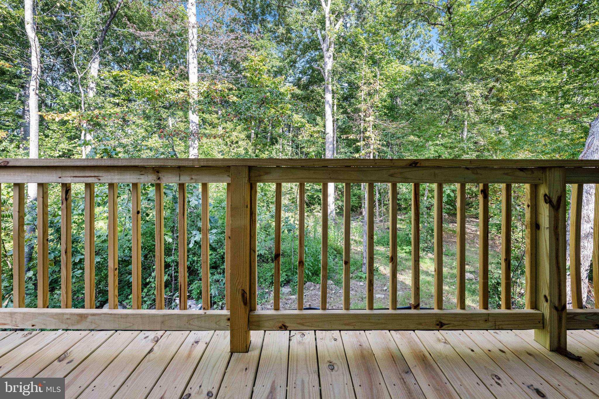 107 Saylers Creek Road Locust Grove, VA 22508 - Photo 28 of 77