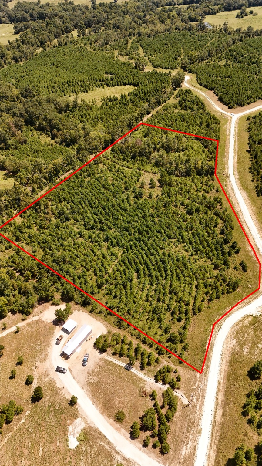 100 Robertson Road Lovelady, TX 75851 - Photo 4 of 9