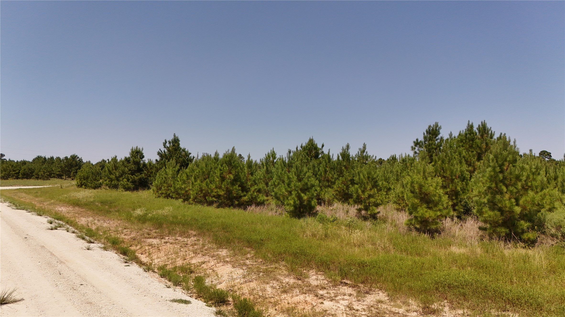 100 Robertson Road Lovelady, TX 75851 - Photo 5 of 9 a view of a lake with a yard