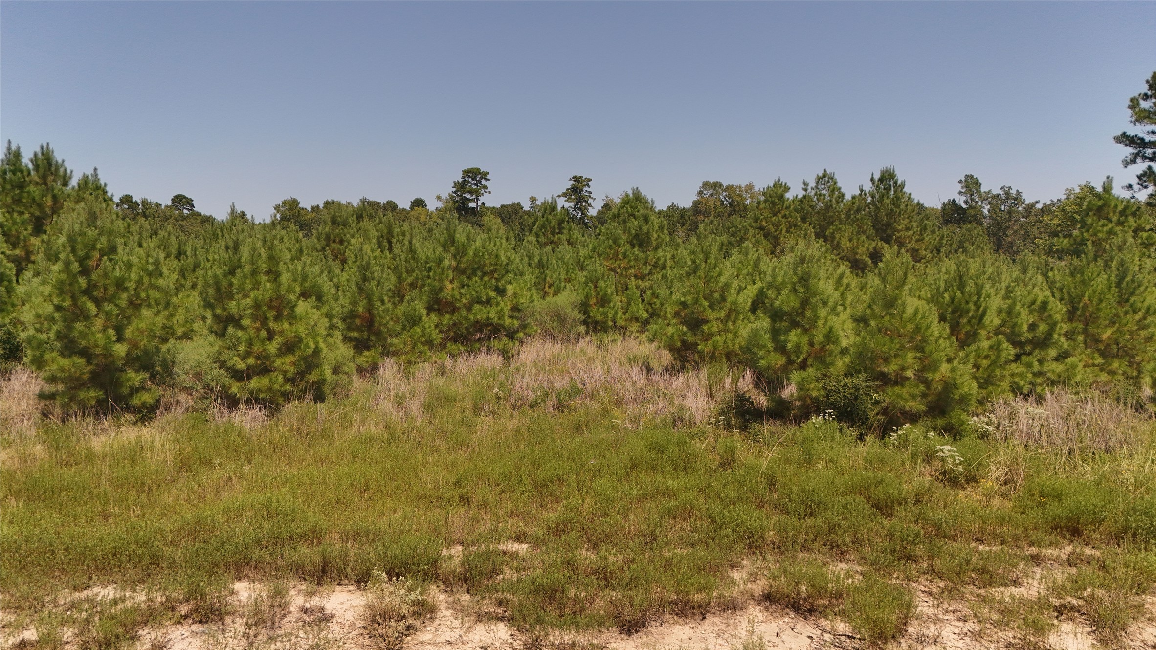 100 Robertson Road Lovelady, TX 75851 - Photo 6 of 9 a view of a lake