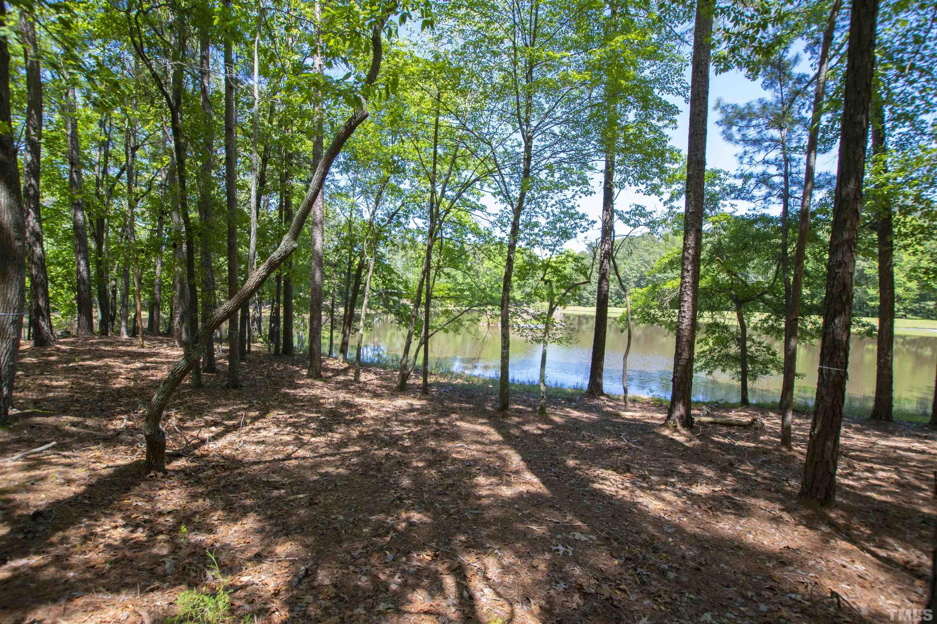325 Pasture Lane Raleigh, NC 27614 - Photo 11 of 12 a view of a tree in the middle of a forest