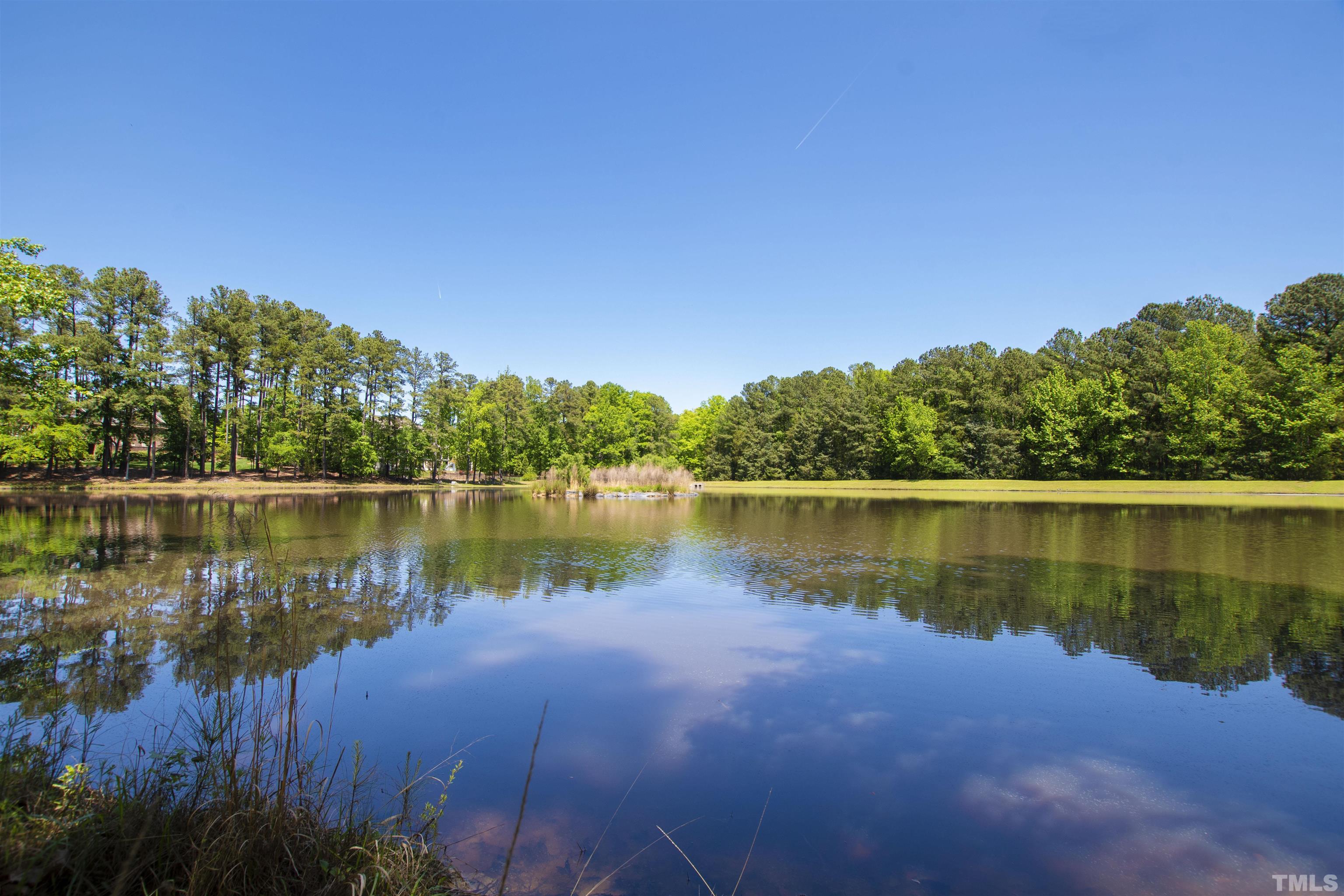 325 Pasture Lane Raleigh, NC 27614 - Photo 12 of 12 a view of a lake