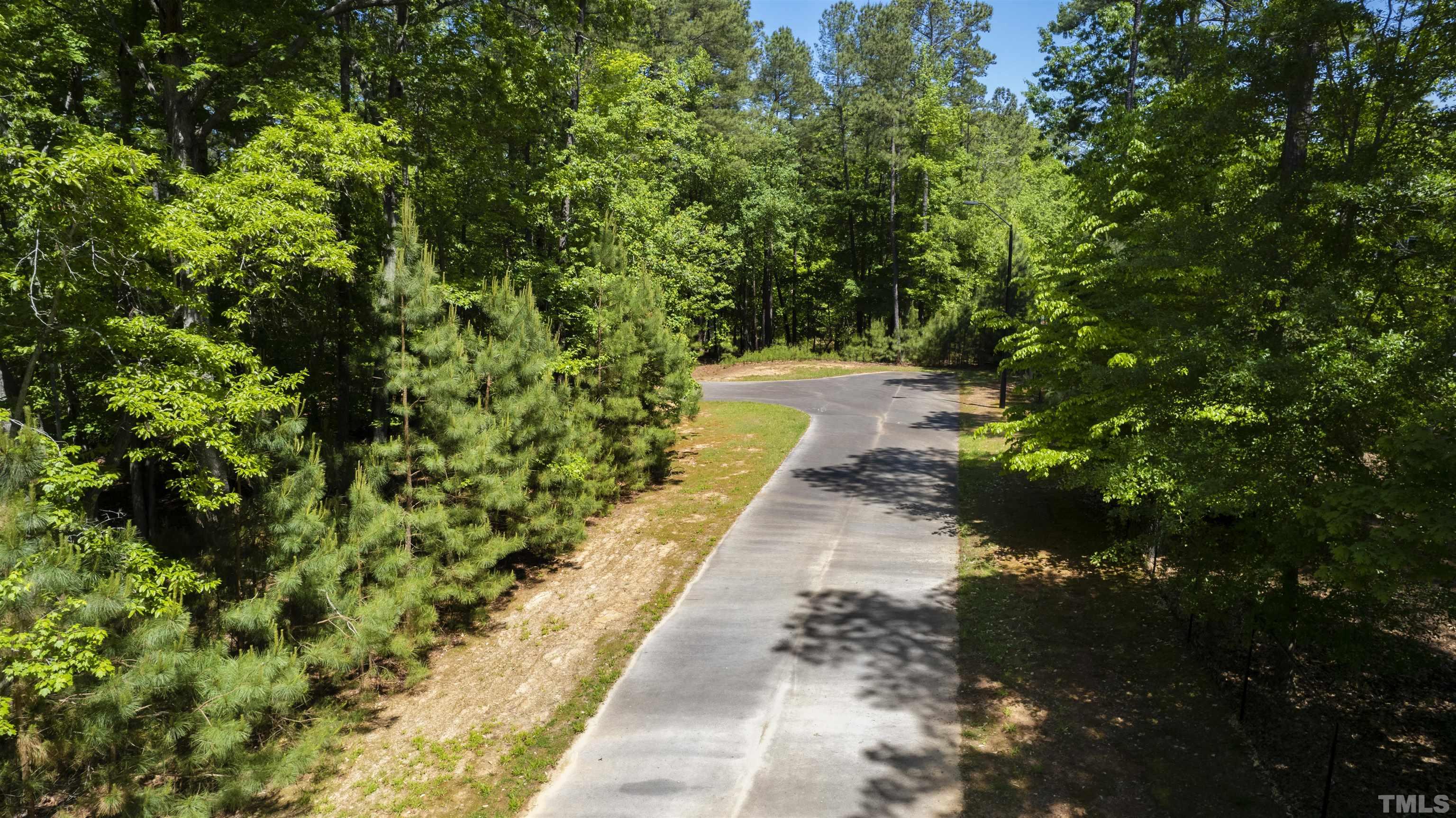 325 Pasture Lane Raleigh, NC 27614 - Photo 10 of 12 a view of a pathway both side of yard