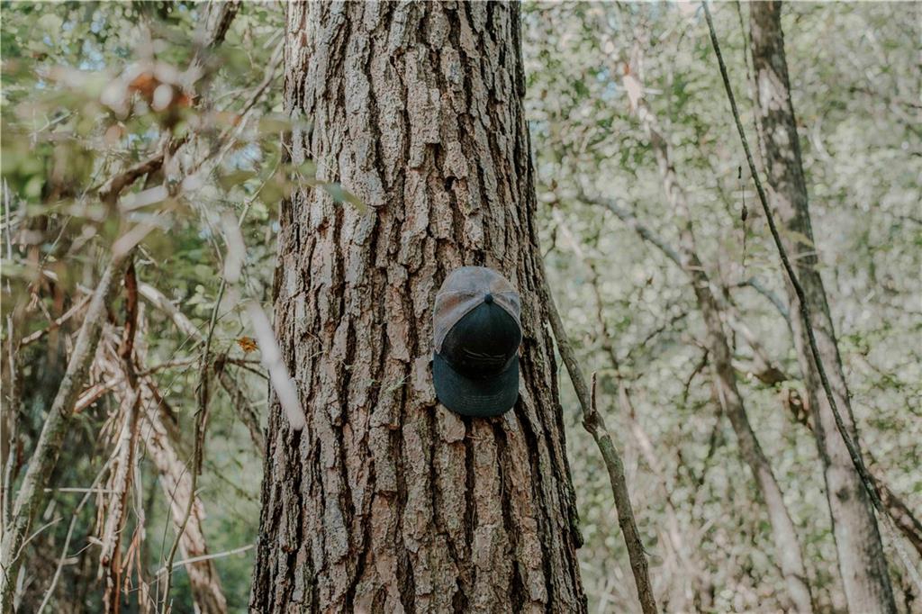 0 Hwy 1083 (ben Williams Road Covington, LA 70435 - Photo 2 of 47 Gallery Image 2