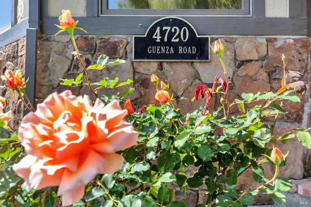 $3,995,000 | 4720 Guenza Road, Santa Rosa, CA 95404