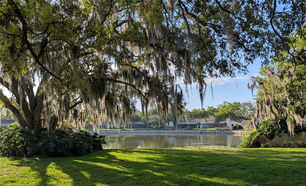 1711 Magdalene Manor Drive Tampa, FL 33613 - Photo 24 of 42