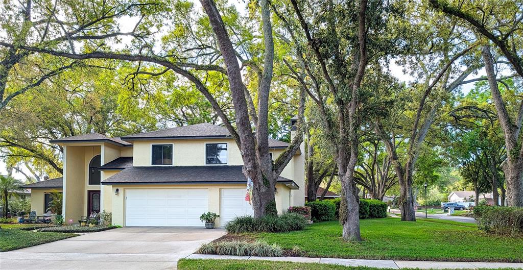 1711 Magdalene Manor Drive Tampa, FL 33613 - Photo 4 of 42