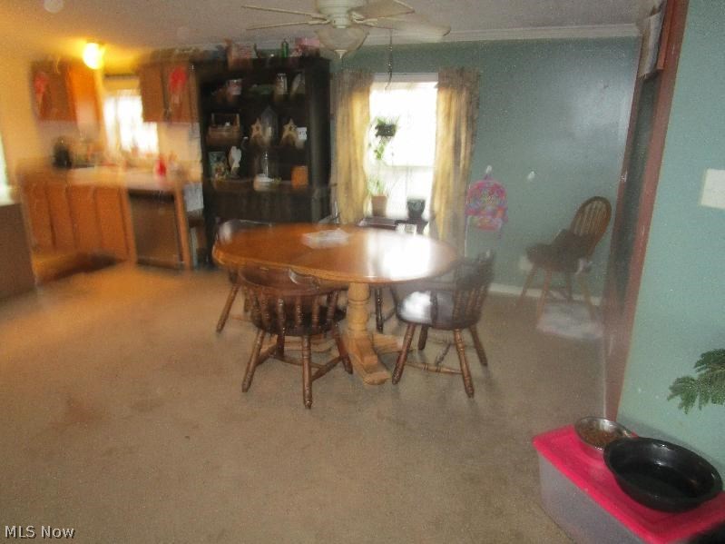 43695 Smith Road Wellington, OH 44090 - Photo 3 of 20 Gallery Image 3